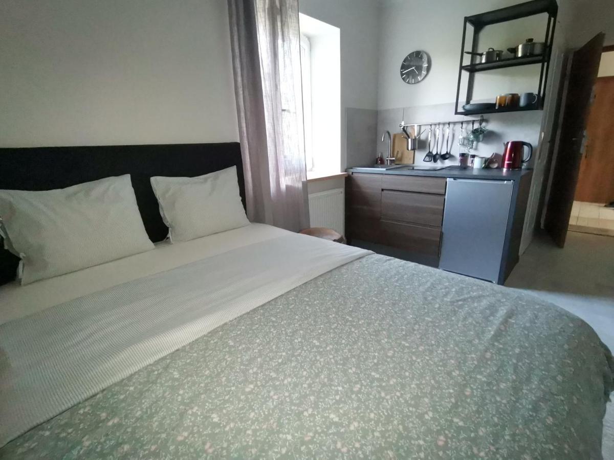 Motyl Apartamenty Studio Lub Pokoj Z Lazienka Bytom Exterior photo